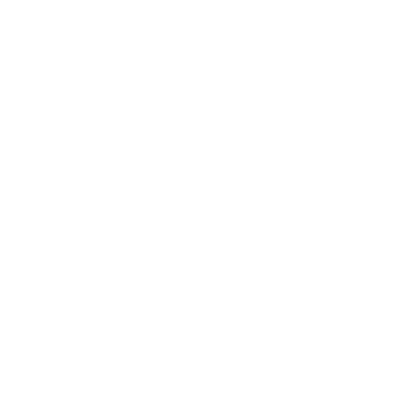 WordPress Updates